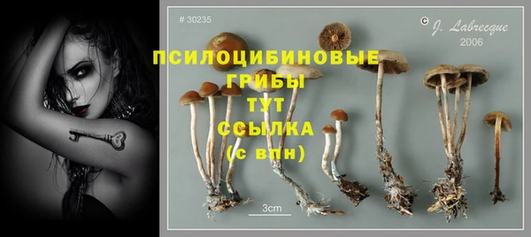 герыч Арсеньев
