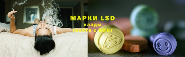 молекула духа Аркадак