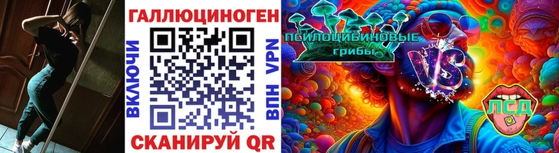 Псилоцибиновые грибы Psilocybine cubensis  Соль-Илецк 